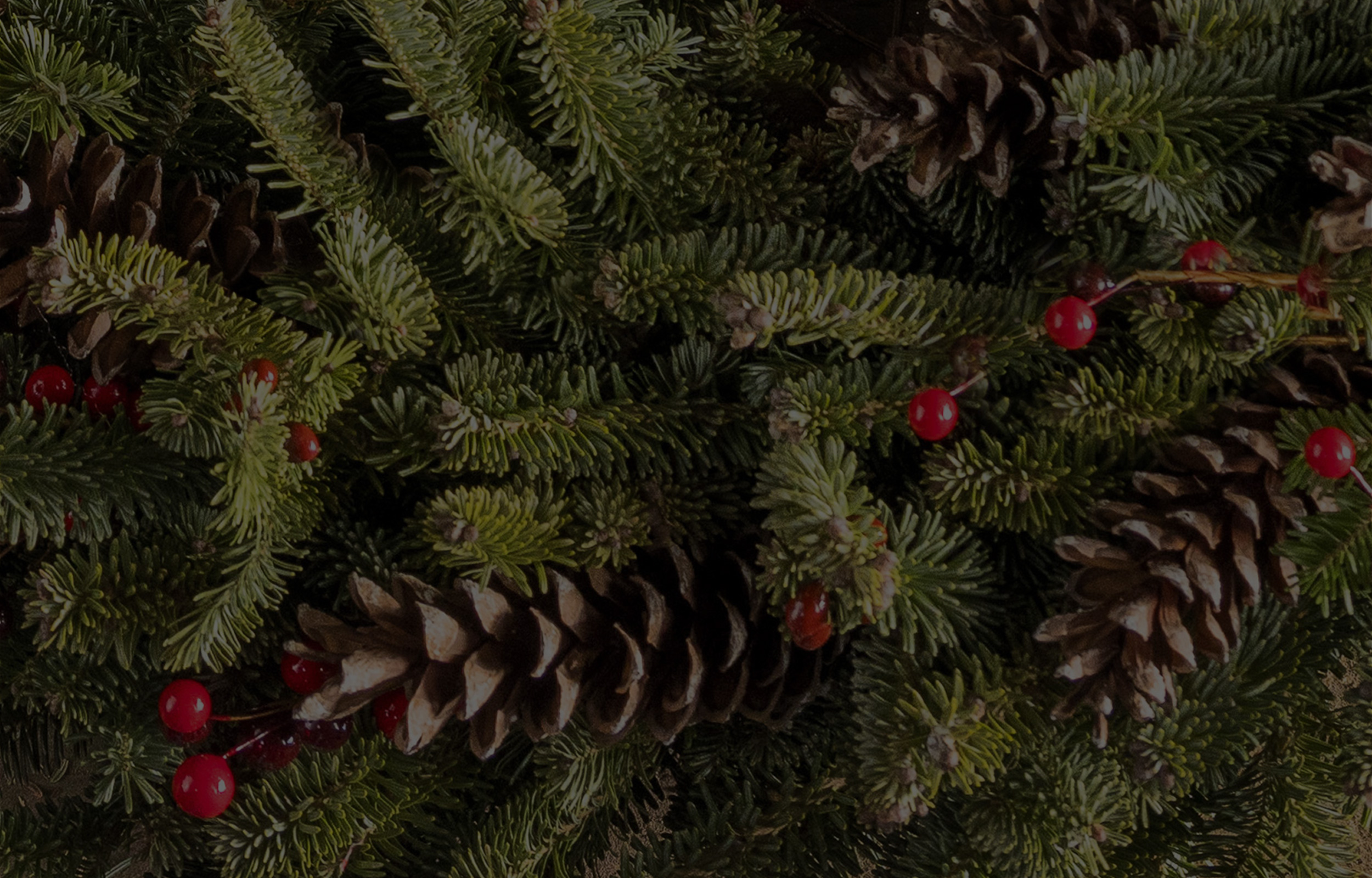 branches de sapin, pommes de pin et houx