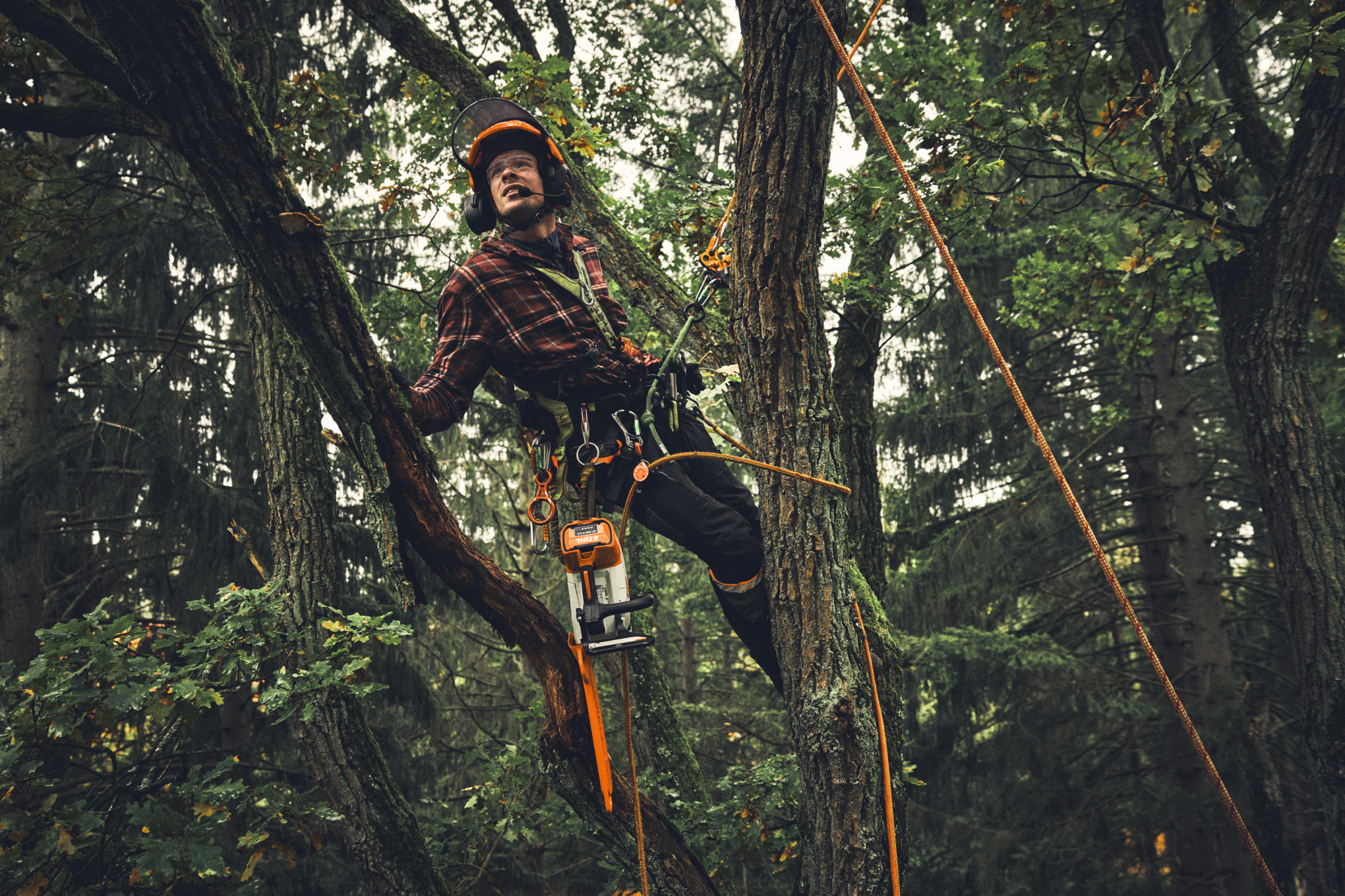 Un homme grimpe à un arbre avec une tronçonneuse à batterie STIHL MSA 220 T